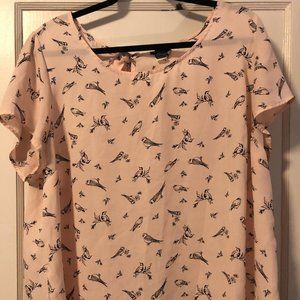 Torrid Sheer Top 2XL Top Plus Size